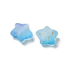 Frosted Acrylic Charms OACR-M023-04F-2