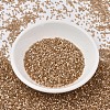 MIYUKI Delica Beads X-SEED-J020-DB1802-2