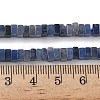 Natural Blue Aventurine Beads Strands G-A280-C08-01-6