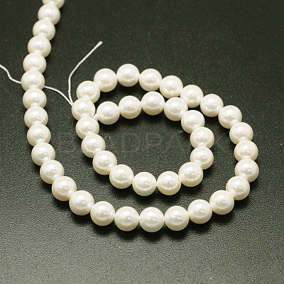 Shell Pearl Beads Strands BSHE-E008-14mm-12-1