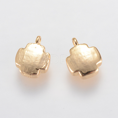 Brass Pendants KK-T014-18G-1