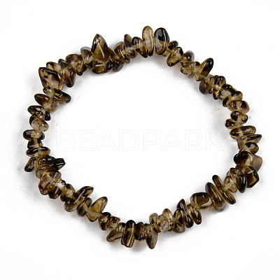 Unisex Chip Natural Quartz Crystal Beaded Stretch Bracelets BJEW-S143-36-1-1