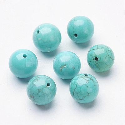 Natural Magnesite Beads G-P212-10mm-1