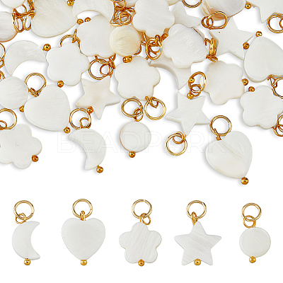 40Pcs 5 Styles Natural Freshwater Shell Charms PALLOY-AB00085-1
