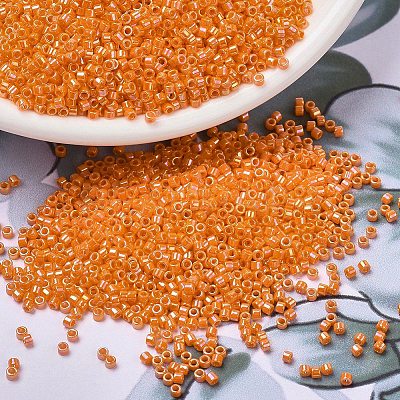 MIYUKI Delica Beads SEED-MY11-DB1573-1