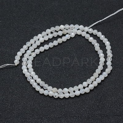 Natural Rainbow Moonstone Beads Strands X-G-E411-08-4mm-1