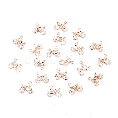 Alloy Pendants LS-TIBEP-Q076-048RG-RS-1