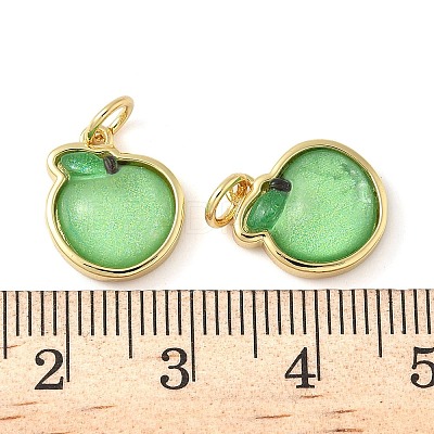 Brass Resin Charms KK-C110-24E-G-1