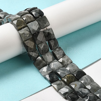 Natural Eagle Eye Stone Beads Strands G-C109-A15-02-1
