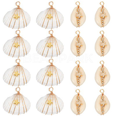 20Pcs 2 Styles Natural Cowrie Shell/Spiral Shell Copper Wire Wrapped Pendants FIND-SC0014-25-1