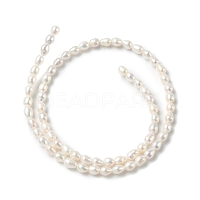 Natural Cultured Freshwater Pearl Beads Strands PEAR-C004-03-1