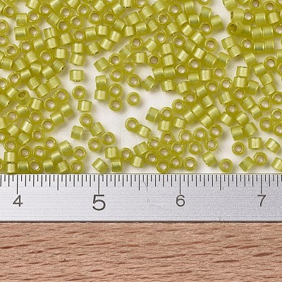 MIYUKI Delica Beads SEED-X0054-DB2187-1