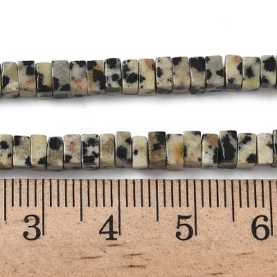 Natural Dalmatian Jasper Beads Strands G-A280-C07-01-1