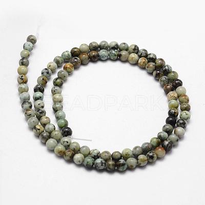 Natural African Turquoise(Jasper) Beads Strands G-D840-90-6mm-1