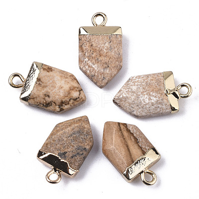 Natural Picture Jasper Pointed Pendants G-N326-34I-1