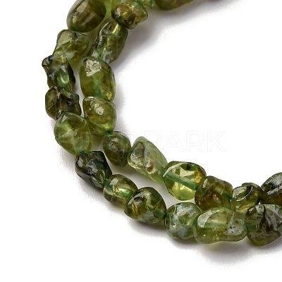 Natural Peridot Beads Strands G-I389-A27-1