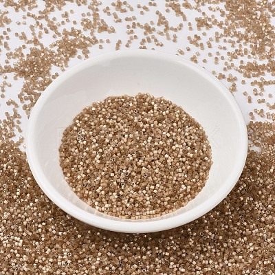 MIYUKI Delica Beads X-SEED-J020-DB1802-1