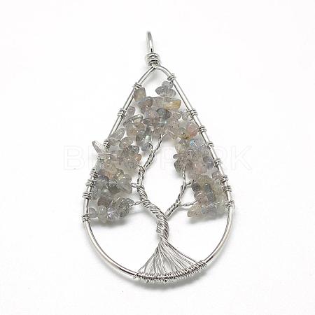 Natural Chip Labradorite Big Pendants G-R437-P10-1