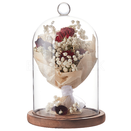 Glass Dome Cover AJEW-WH0270-199-1