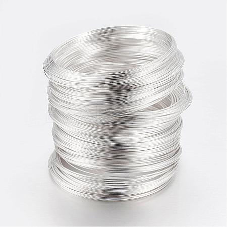 Carbon Steel Memory Wire FIND-S601-0.6x55mm-S-1