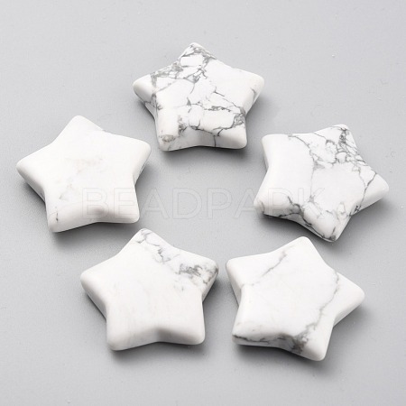 Natural Howlite Beads G-O196-07A-1