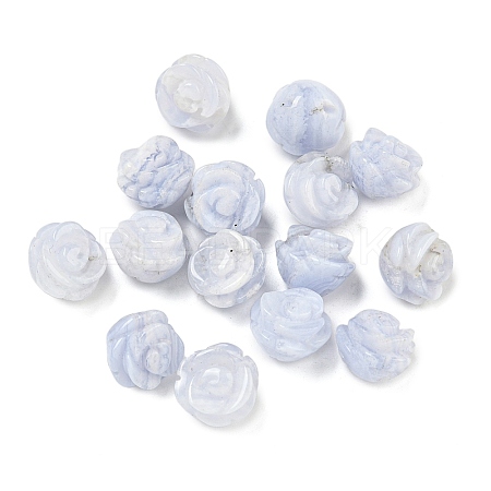 Natural Blue Lace Agate Carved Beads G-NH0001-10B-1