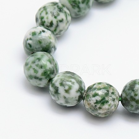 Natural Green Spot Jasper Beads Strands G-L148-10mm-01-1