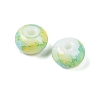 Opaque Spray Painted Glass Beads GLAA-G118-01B-2