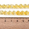 Crackle Transparent Glass Beads Strands GLAA-N068-02A-10-5
