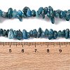 Natural Apatite Beads Strands G-F666-01B-02-01-5
