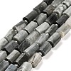 Natural Eagle Eye Stone Beads Strands G-G068-A24-01-1