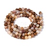 Natural Wood Lace Stone Wooden Jasper Beads Strands G-B128-A04-01-3