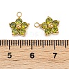 304 Stainless Steel Micro Pave Cubic Zirconia Charms STAS-B088-01G-04-3