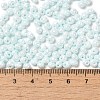 6/0 Glass Seed Beads SEED-M012-01A-13-4