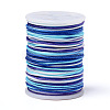 Segment Dyed Polyester Thread NWIR-I013-A-01-1