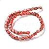Dyed Natural Imperial Jasper Beads Strands G-U011-A02-01-3