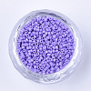 Baking Paint Cylinder Seed Beads SEED-Q036-02A-D09-2