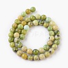 Natural Serpentine Beads Strands G-G767-04-8mm-2