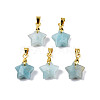 Natural Amazonite Charms G-N326-142-08-2