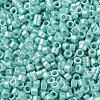 Baking Paint Glass Seed Beads X-SEED-S042-15A-09-3