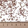 MIYUKI Round Rocailles Beads SEED-JP0010-RR0301-4
