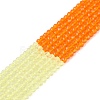 Transparent Glass Beads Strands GLAA-N074-01A-04-2