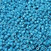 Cylinder Seed Beads SEED-H001-H10-3