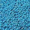 Cylinder Seed Beads SEED-H001-H10-3