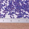 MIYUKI Delica Beads Small X-SEED-J020-DBS0880-4