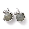 Natural Labradorite Pendants G-G884-D23-FF-2