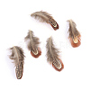 Chicken Feather Costume Accessories X-FIND-Q046-08-1