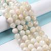 Natural White Moonstone Beads Strands G-F674-08-10mm-01-1