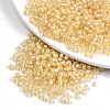 6/0 Glass Seed Beads SEED-A015-4mm-2202-1