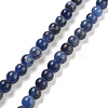 Sodalite Round Bead Strands G-P070-46-6mm-1